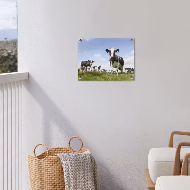 Koeien - Gras - Dieren - Zon - Boerderij tuinposter los doek klein -sfeer8