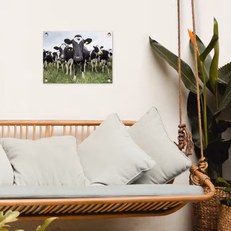 Koeien - Gras - Lente - Dieren - Weiland - Boerderij tuinposter los doek klein -sfeer7