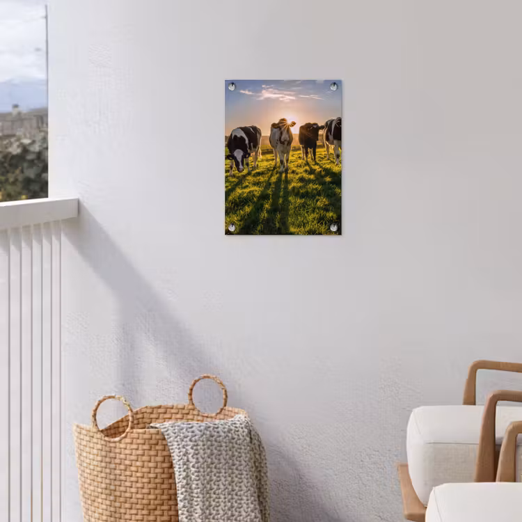 Koeien in de ochtendzon tuinposter los doek klein -sfeer8