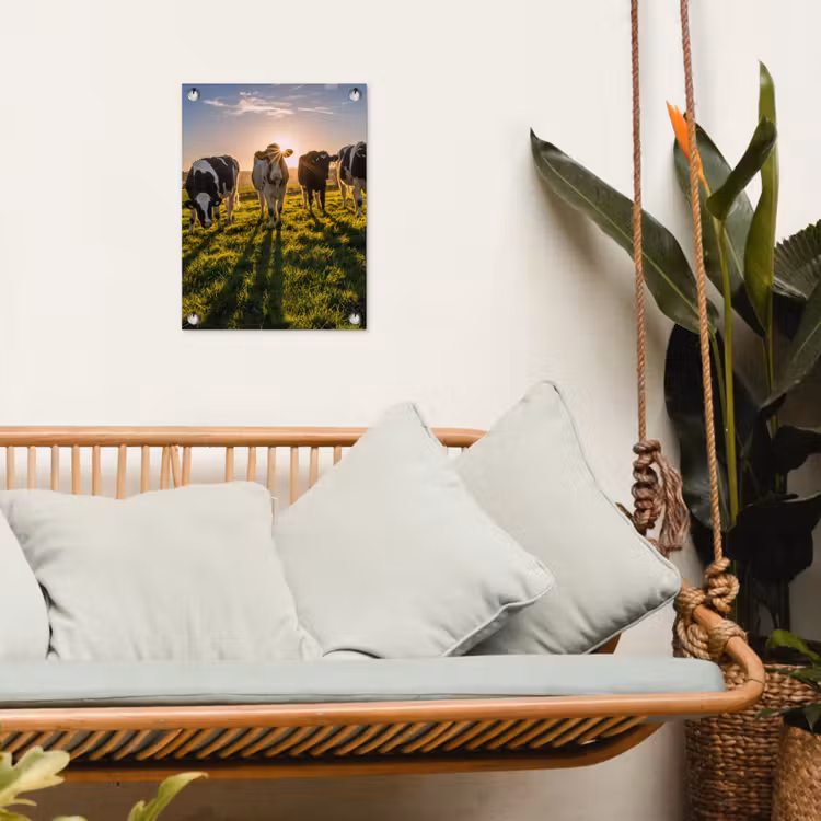 Koeien in de ochtendzon tuinposter los doek klein -sfeer7