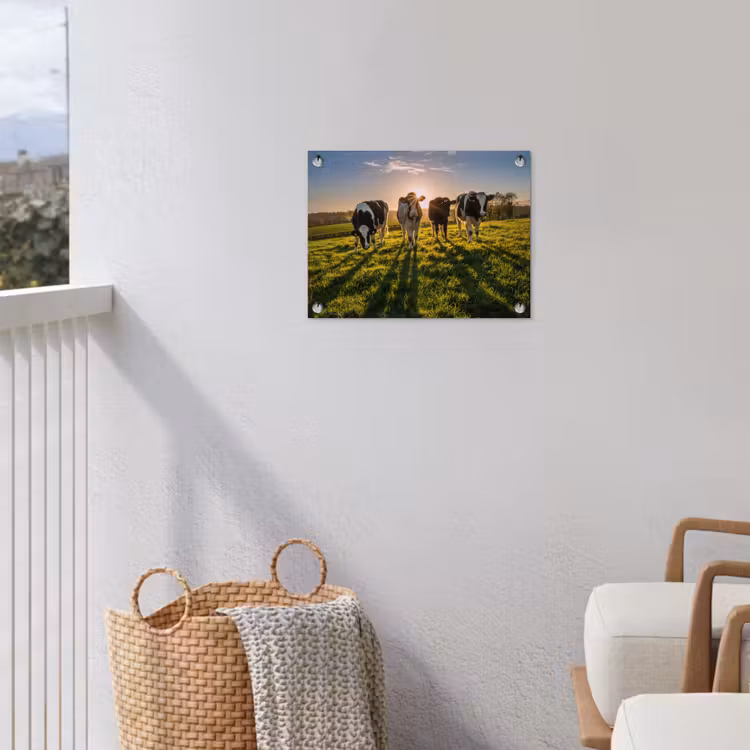 Koeien - Zon - Gras - Dieren - Boerderij tuinposter los doek klein -sfeer8
