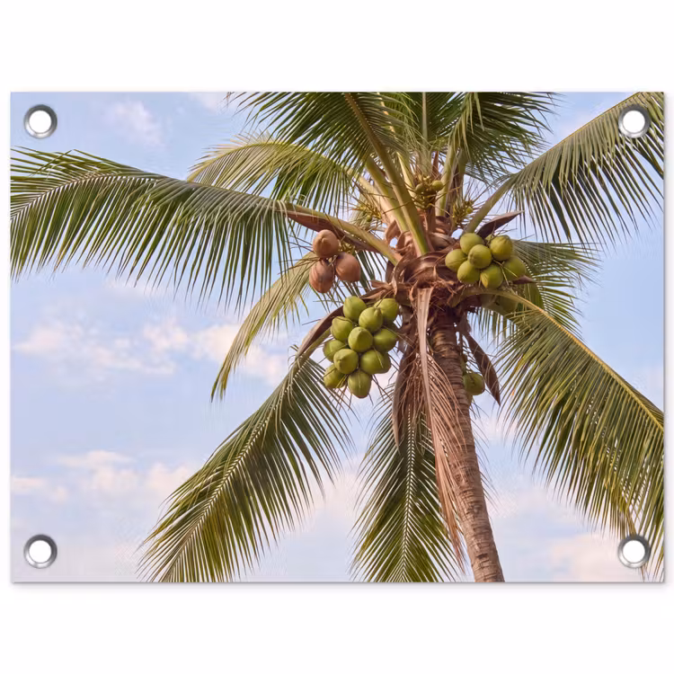 Kokosnoot - Boom - Tropisch - Natuur - Groen tuinposter los doek klein -3d