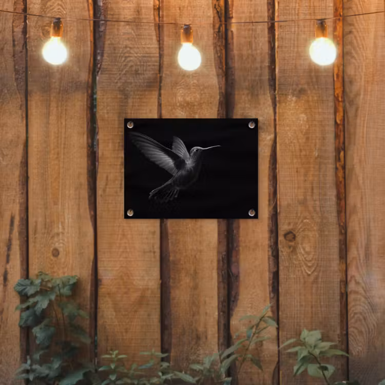 Kolibrie - Zwart - Dieren tuinposter los doek klein -sfeer1