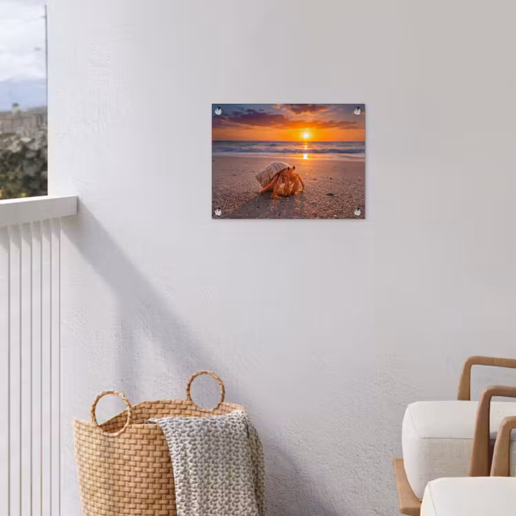 Kreeft - Strand - Natuur - Zonsondergang - Oranje tuinposter los doek klein -sfeer8
