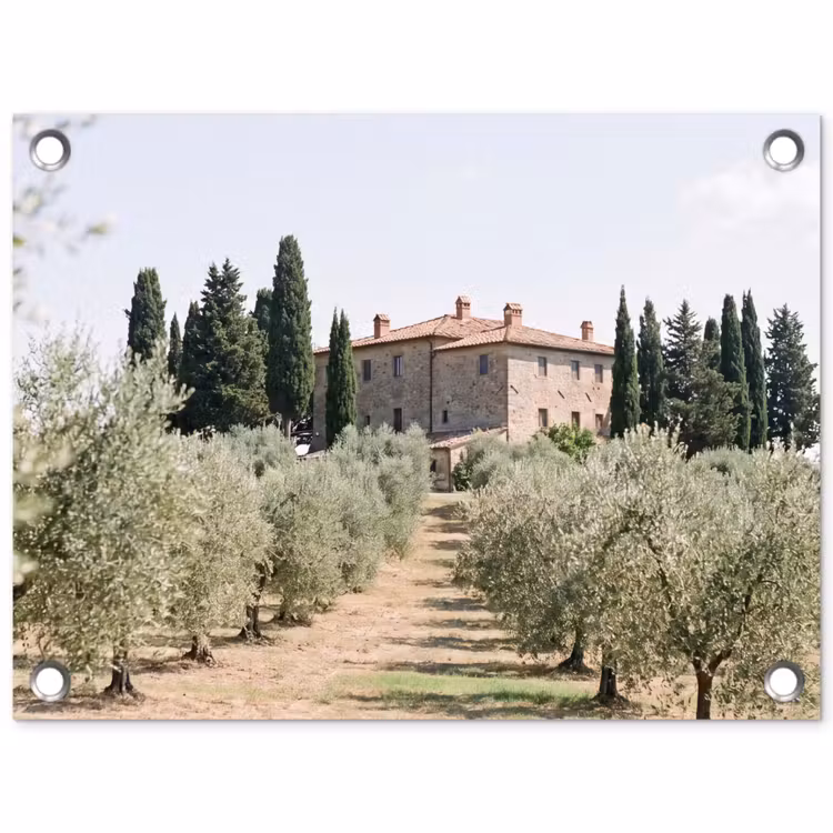 Tuinposter - Landhuis - olijfboom - gaard - Landhuis - olijfboom - gaard tuinposter los doek klein
