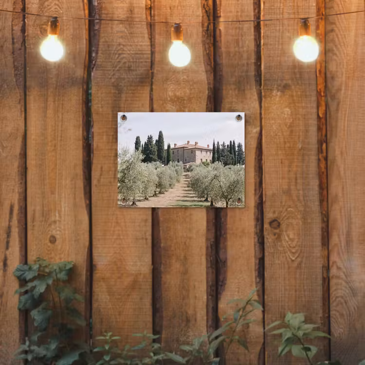 Tuinposter - Landhuis - olijfboom - gaard - Landhuis - olijfboom - gaard tuinposter los doek klein