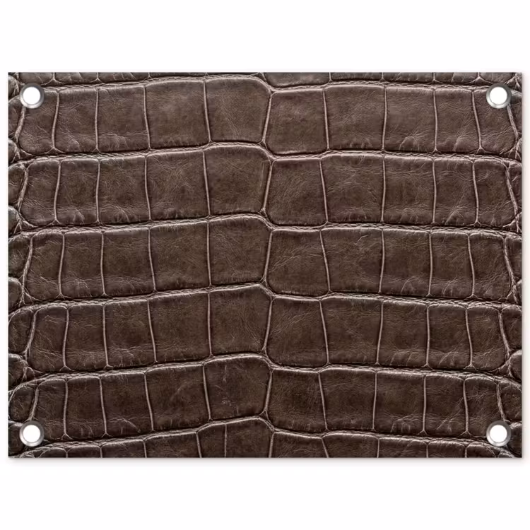 Leer - Krokodil - Mat tuinposter los doek klein -3d
