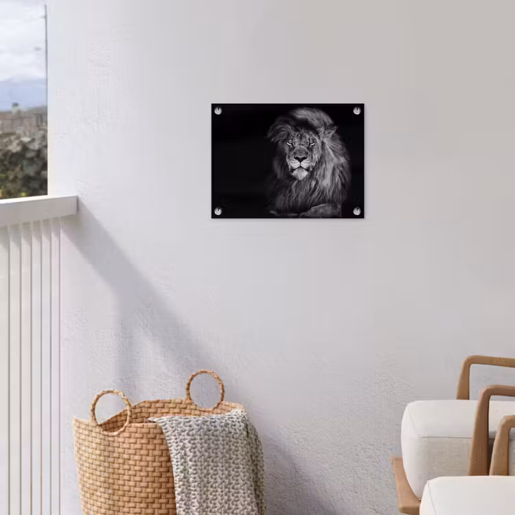 Leeuw - Ogen - Oranje - Zwart wit - Dieren - Portret tuinposter los doek klein -sfeer8