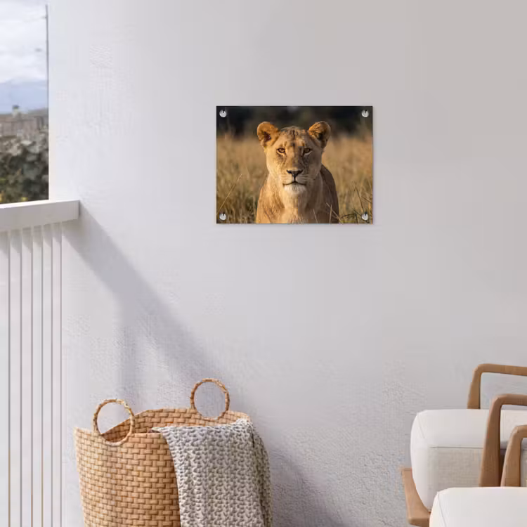 Leeuwin - Gras - Geel tuinposter los doek klein -sfeer8