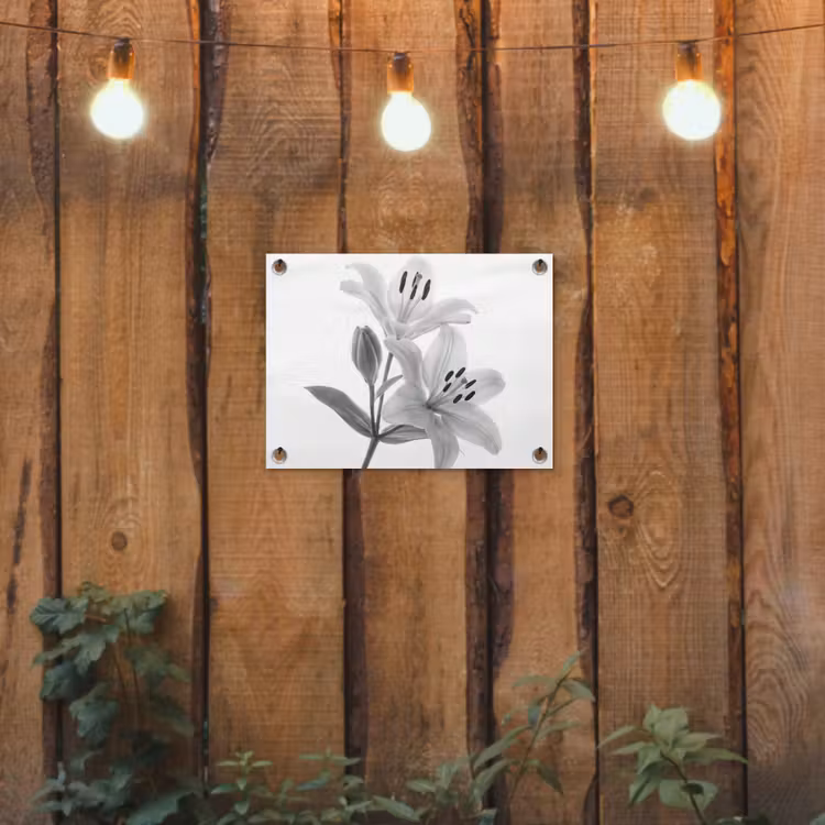 Lelies - Elegant - Zwart - Wit tuinposter los doek klein -sfeer1