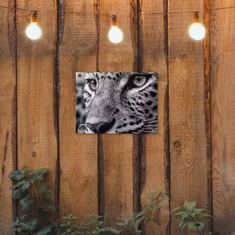 Luipaard - Zwart - Wit - Oog tuinposter los doek klein -sfeer1