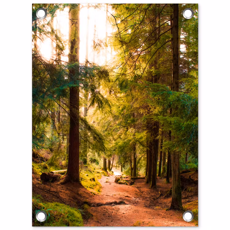 Mossig bospad tuinposter los doek klein -3d