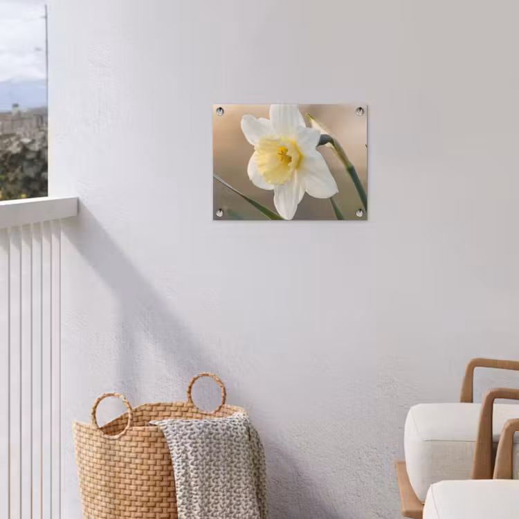 Narcis - Bloem - Minimalistisch tuinposter los doek klein -sfeer8