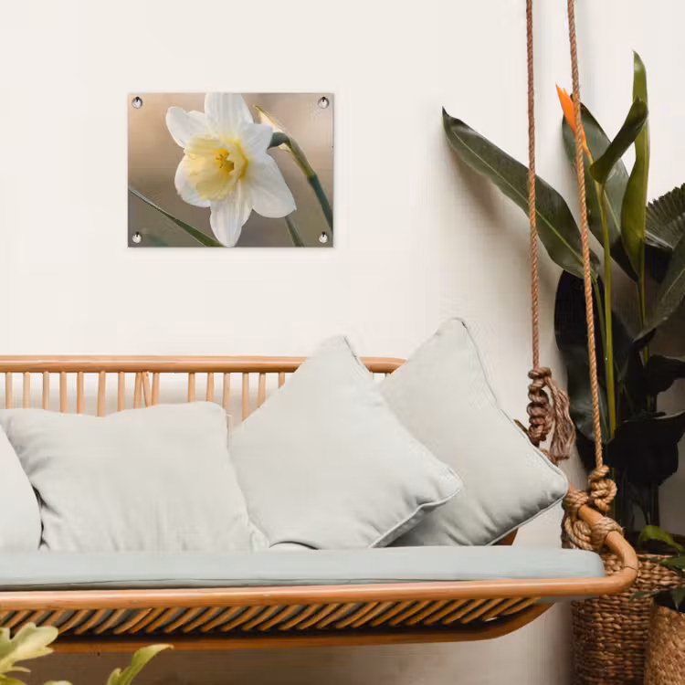 Narcis - Bloem - Minimalistisch tuinposter los doek klein -sfeer7