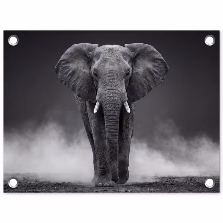 Olifant - Zwart - Wit - Rook tuinposter los doek klein -3d