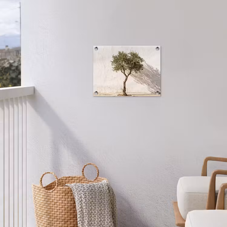 Tuinposter - Olijfboom - muur - wit - Olijfboom - muur - wit tuinposter los doek klein