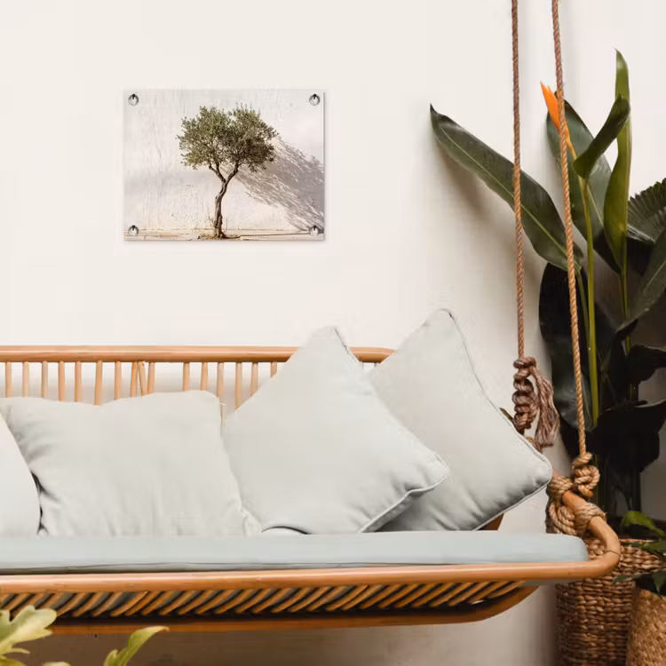 Tuinposter - Olijfboom - muur - wit - Olijfboom - muur - wit tuinposter los doek klein