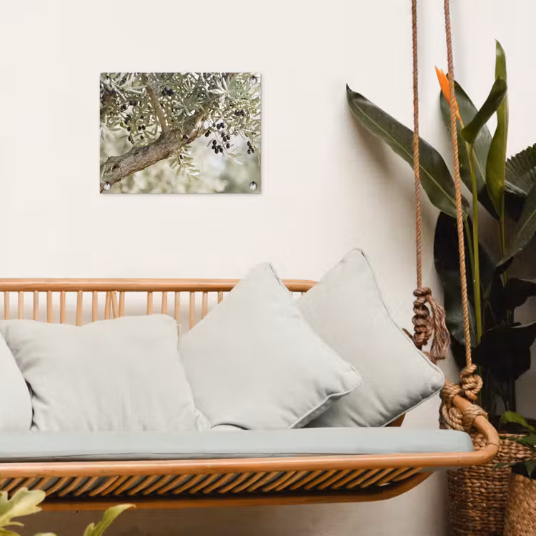 Tuinposter - Olijfboom - tak - groen - Olijfboom - tak - groen tuinposter los doek klein
