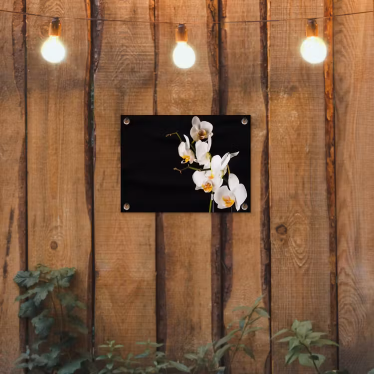 Orchidee - Bloemen - Planten - Botanisch tuinposter los doek klein -sfeer1
