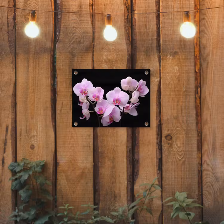 Orchidee - Bloemen - Roze - Flora tuinposter los doek klein -sfeer1