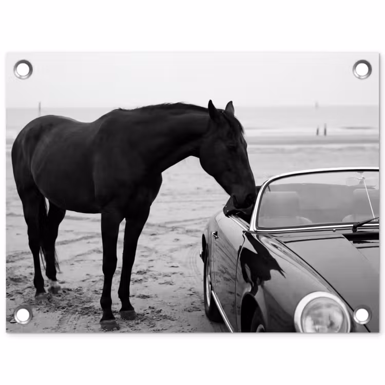 Paard - Auto - Zwart - Wit tuinposter los doek klein -3d