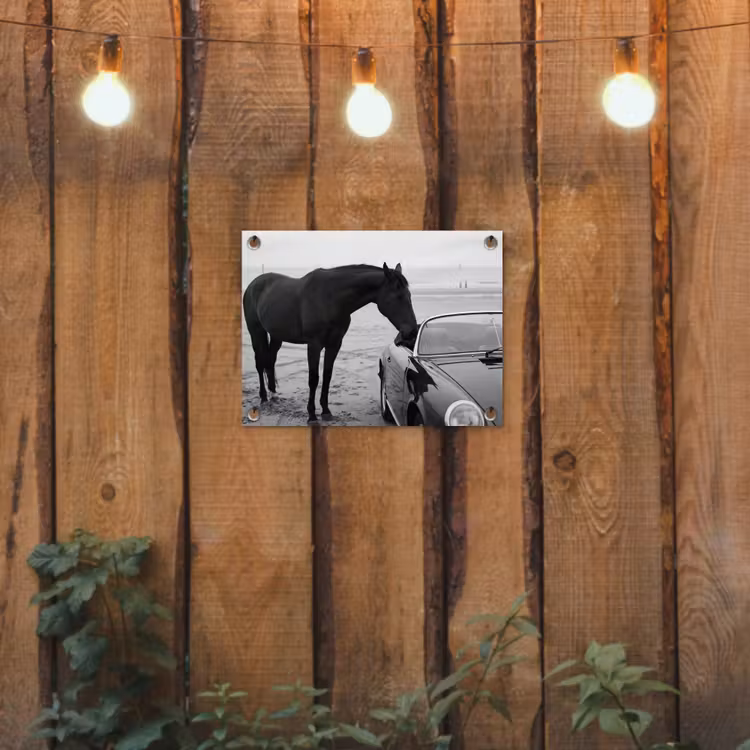 Paard - Auto - Zwart - Wit tuinposter los doek klein -sfeer1