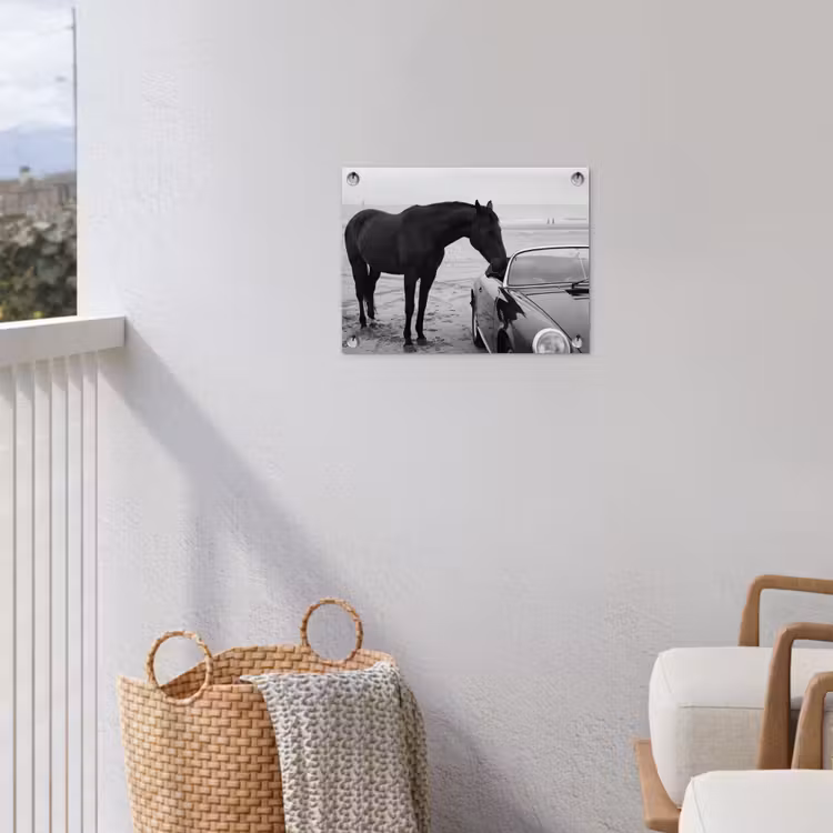 Paard - Auto - Zwart - Wit tuinposter los doek klein -sfeer8