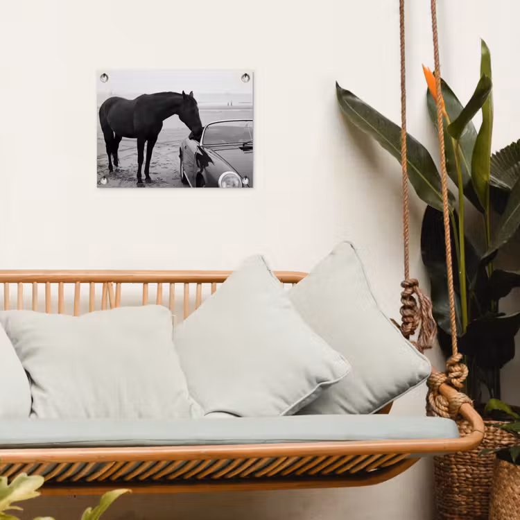 Paard - Auto - Zwart - Wit tuinposter los doek klein -sfeer7