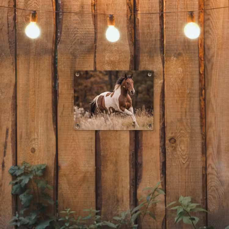 Paard - Bruin - Gras tuinposter los doek klein -sfeer1