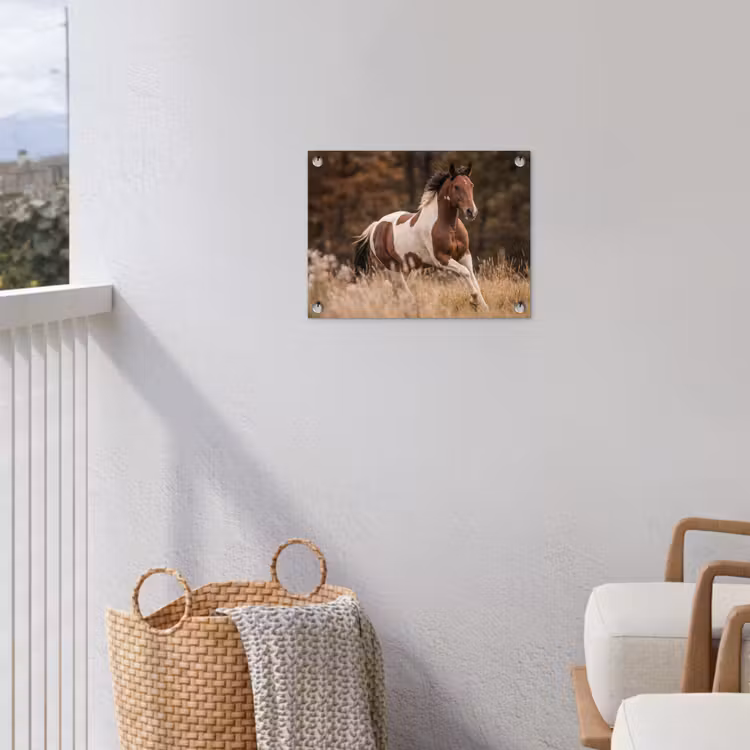 Paard - Bruin - Gras tuinposter los doek klein -sfeer8