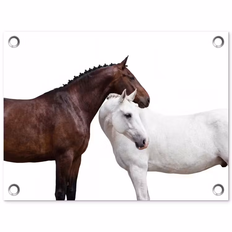 Paard - Modern - Balans tuinposter los doek klein -3d