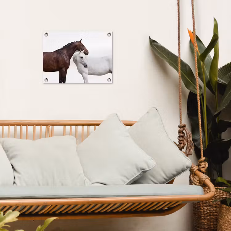 Paard - Modern - Balans tuinposter los doek klein -sfeer7