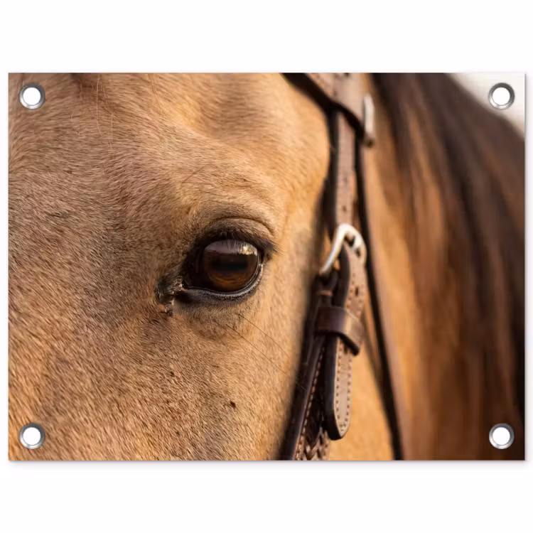 Paard - Oog - Bruin tuinposter los doek klein -3d