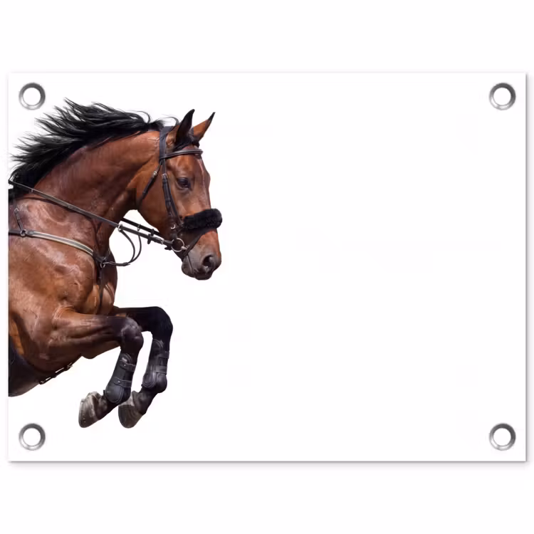 Paard - Springen - Modern tuinposter los doek klein -3d