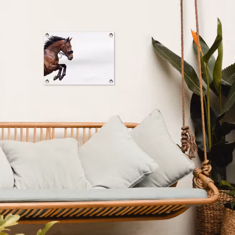 Paard - Springen - Modern tuinposter los doek klein -sfeer7