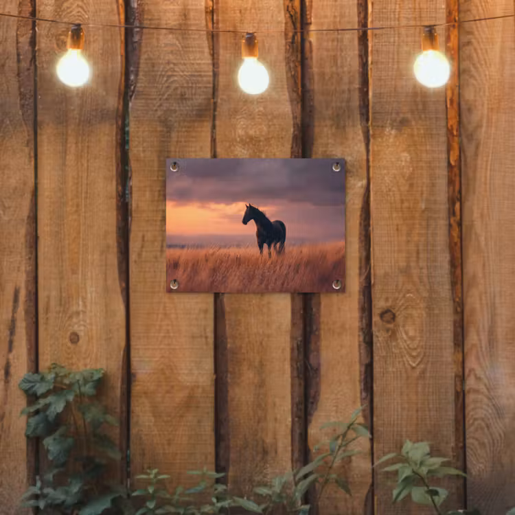 Paard - Wolken - Open veld tuinposter los doek klein -sfeer1