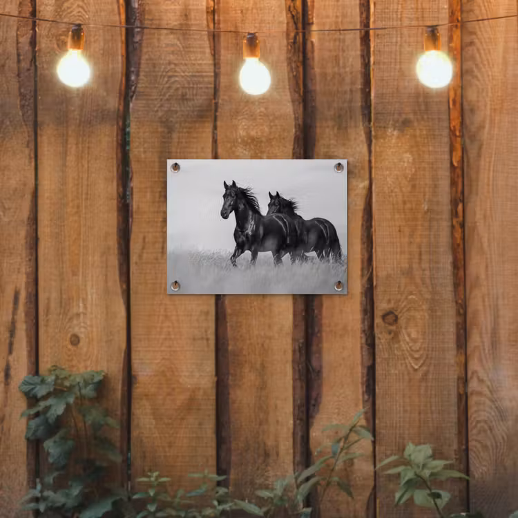 Paarden - Gras - Zwart - Wit tuinposter los doek klein -sfeer1