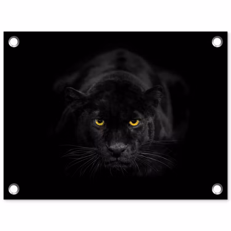 Panter - Dieren - Zwart - Ogen tuinposter los doek klein -3d