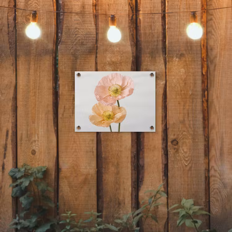 Papavers - Botanisch - Roze tuinposter los doek klein -sfeer1