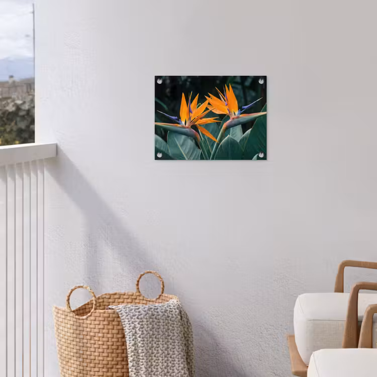 Paradijsvogel - Bloem - Exotisch tuinposter los doek klein -sfeer8