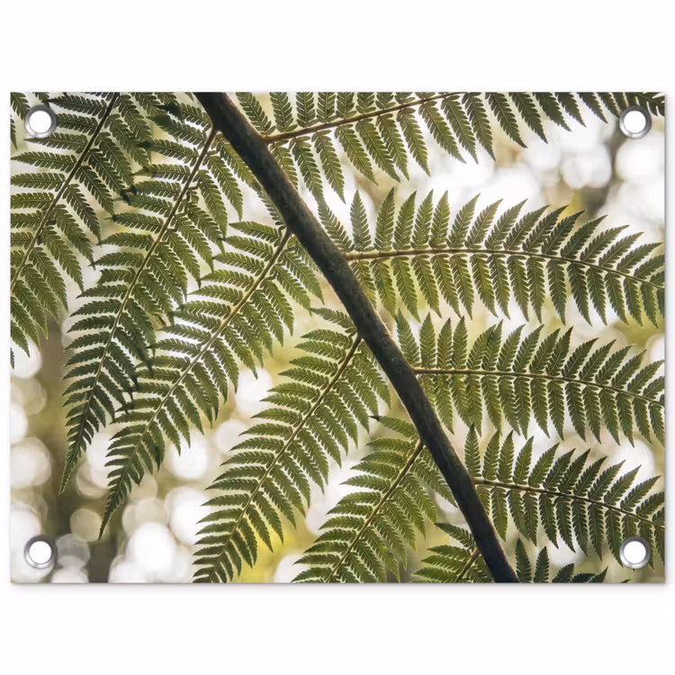 Plant - Blad - Natuur - Groen - Detail tuinposter los doek klein -3d