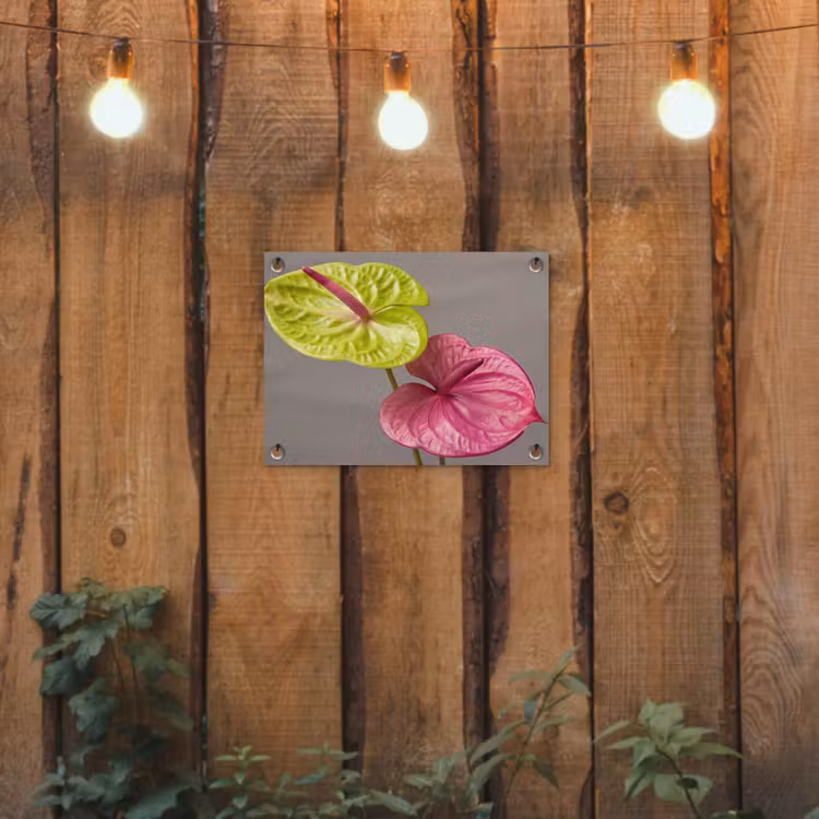 Planten - Anthurium - Groen - Roze tuinposter los doek klein -sfeer1