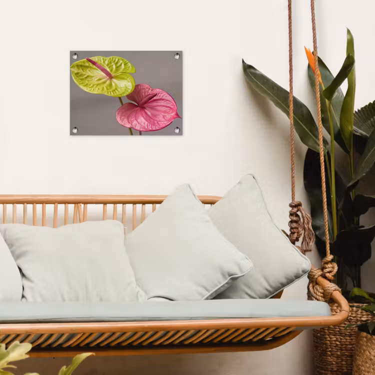 Planten - Anthurium - Groen - Roze tuinposter los doek klein -sfeer7