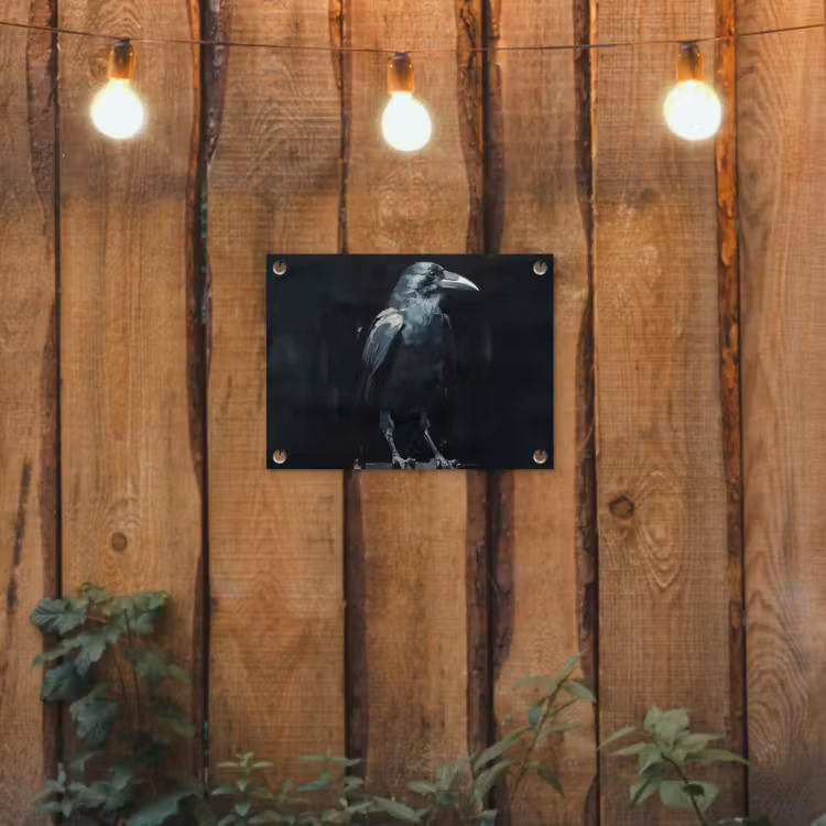 Raaf - Vogels - Zwart tuinposter los doek klein -sfeer1