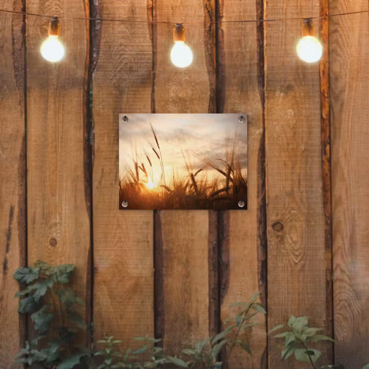 Riet - Gras - Zonsondergang - Natuur - Horizon tuinposter los doek klein -sfeer1