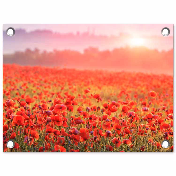 Rode klaprozen in de ochtendzon tuinposter los doek klein -3d