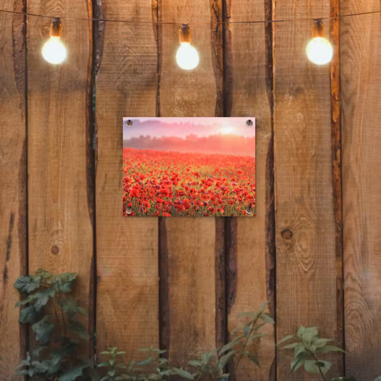 Rode klaprozen in de ochtendzon tuinposter los doek klein -sfeer1
