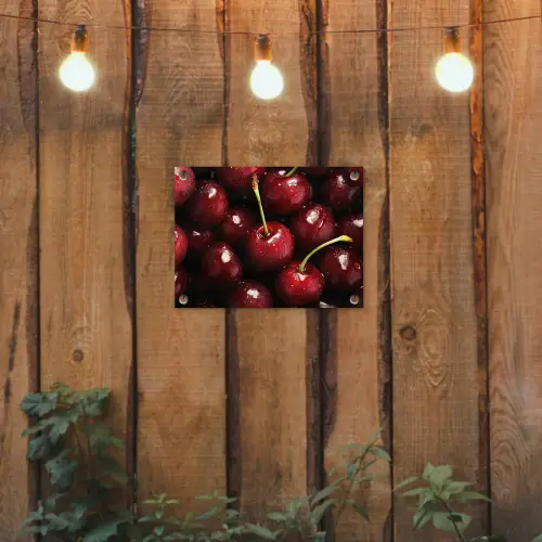 Rood - Fruit - Kersen tuinposter los doek klein -sfeer1