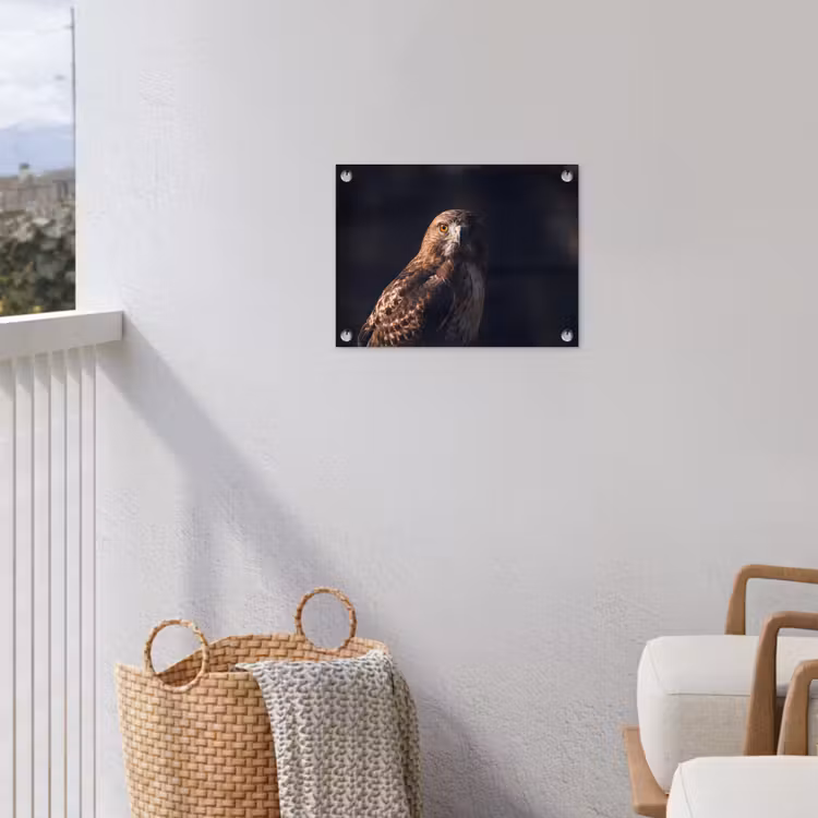 Roofvogel - Buizerd - Bruin tuinposter los doek klein -sfeer8