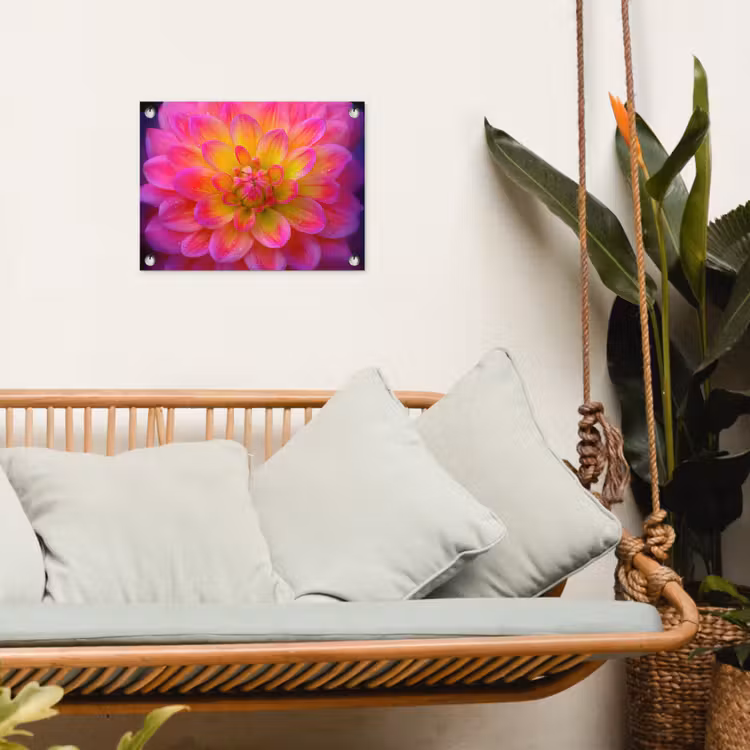 Roze - Dahlia - Kleurrijk tuinposter los doek klein -sfeer7